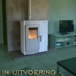 Diversen: Combikachel RIKA Induo, op hout en pellets, 10 kW, A+